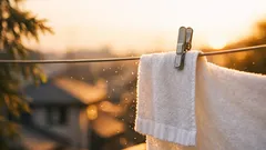 花粉の季節でも洗濯物が快適に干せる4つのコツ